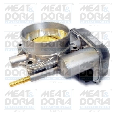 Throttle Body